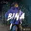 Bina cover