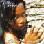 Fly cover