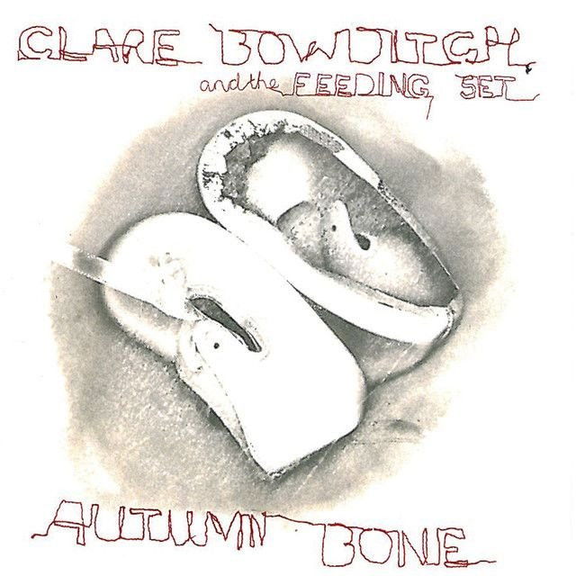 Clare Bowditch profile