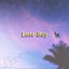 Lost Boy cover