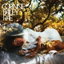 Closer cover