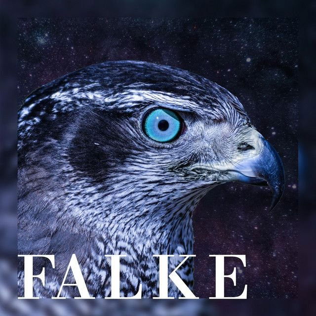 Falke