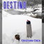 Destino cover