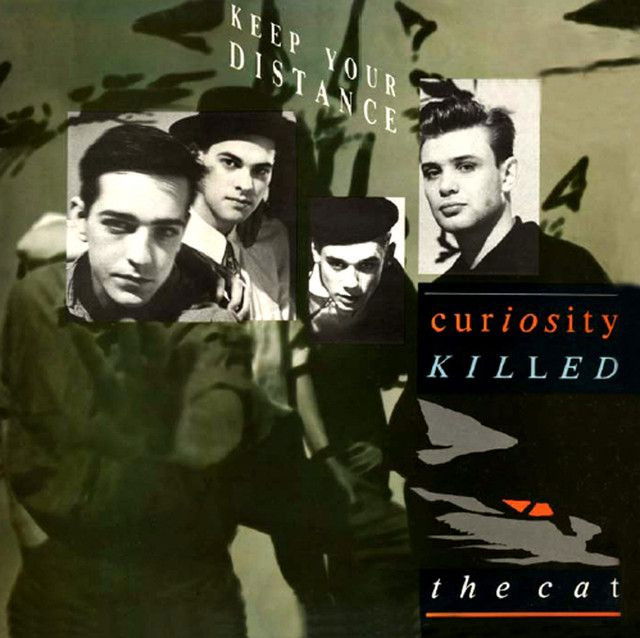 Curiosity Killed the Cat profile