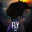 Fly cover