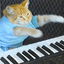 keyboard cat swag cover