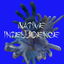 Native Intelligence cover