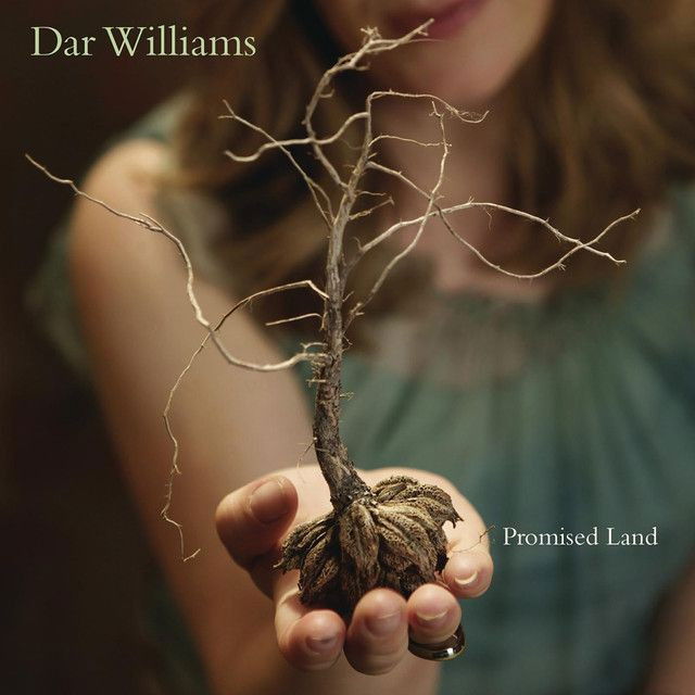 Dar Williams profile