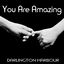 You Are Amazing cover