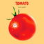 Tomato cover