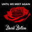 Until We Meet Again cover