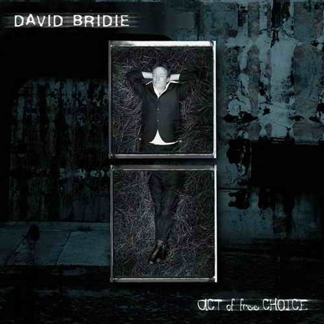 David Bridie profile