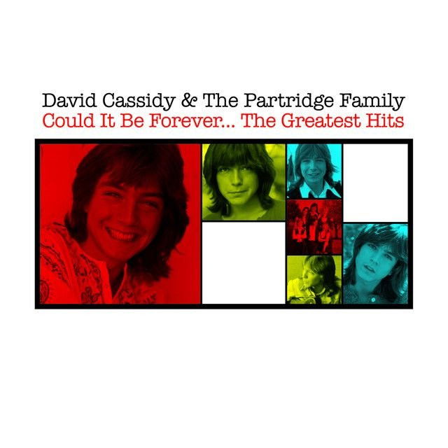 David Cassidy profile