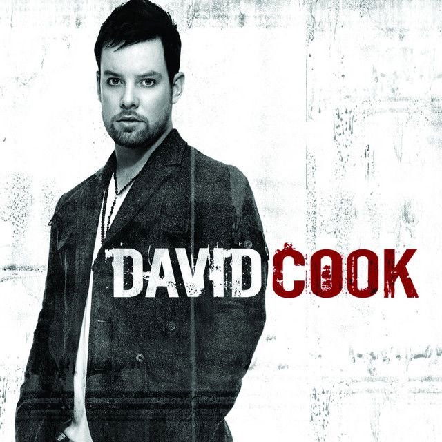 David Cook profile