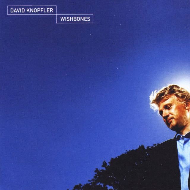 David Knopfler profile