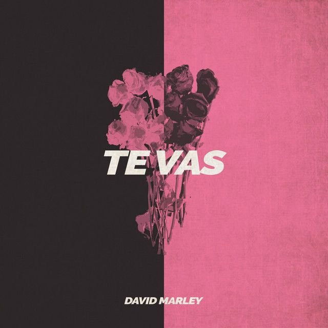 Te Vas