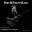 Falling in Love Again cover
