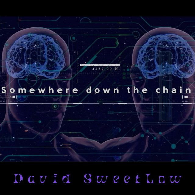 Somewhere Down The Chain