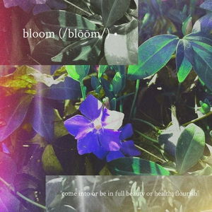 bloom