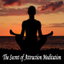 The Secret of Attraction cover