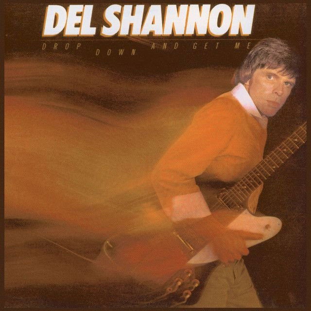 Del Shannon profile