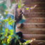 Need You Around cover