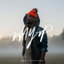 Way Up cover