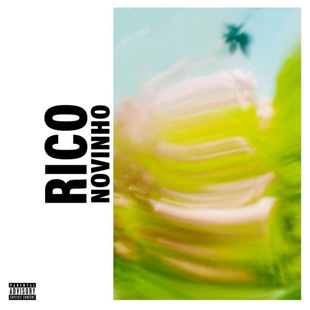 Rico Novinho