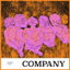 Company cover