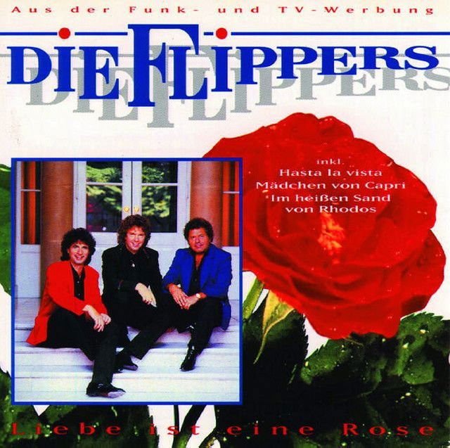 Die Flippers profile