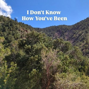 I Don't Know How You've Been