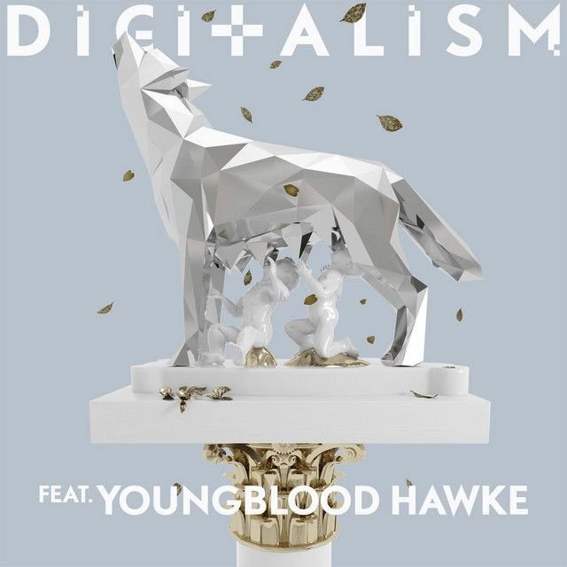 Digitalism profile