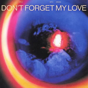 Don&#039;t Forget My Love