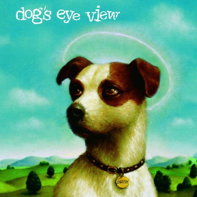 Dog’s Eye View profile