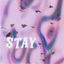 Stay cover