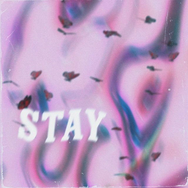 Stay