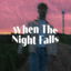 WHEN THE NIGHT FALLS cover