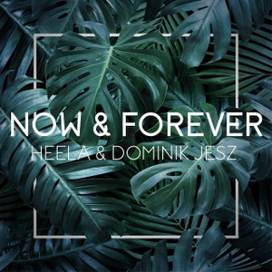 Now &amp; Forever