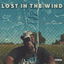 Lost in the Wind cover