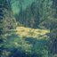Gray cover