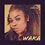 Waka cover