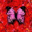 Bad Habits cover