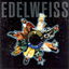 Bring Me Edelweiss cover