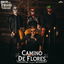 Camino de Flores cover