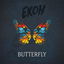 butterfly cover