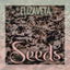 Seeds cover