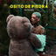 Osito De Piedra cover