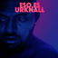 Urknall cover