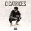 Cicatrices cover