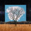 Bloom Innocent cover